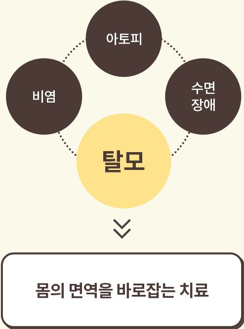 비염·아토피·수면장애·탈모 면역 치료