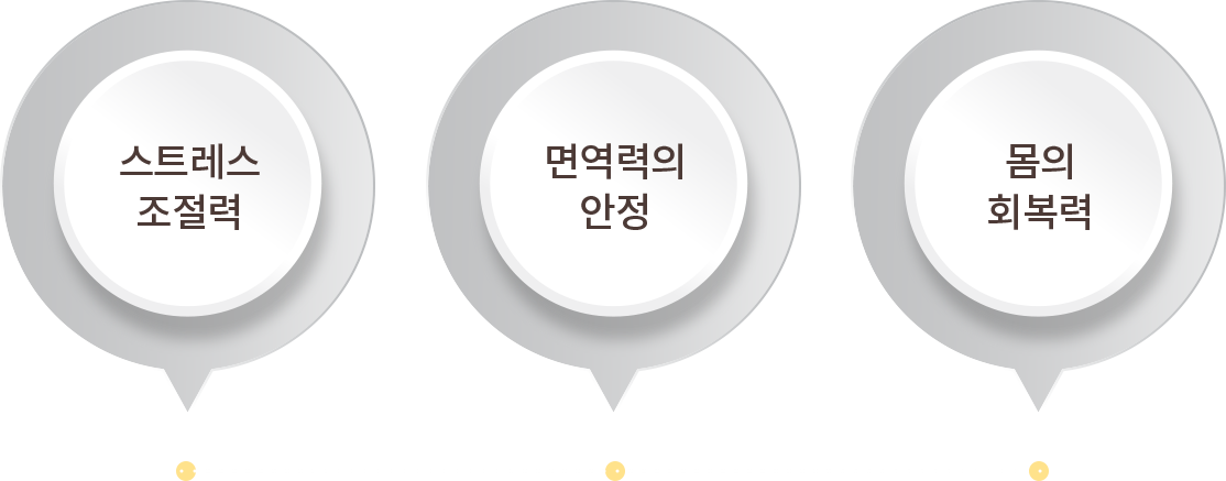 발머스 치료 핵심 요소